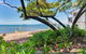 WINDFALL In PALM COVE - thumb 6