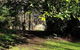 Redruth 2 Bedroom Cottage Situated In Wandiligong - thumb 4