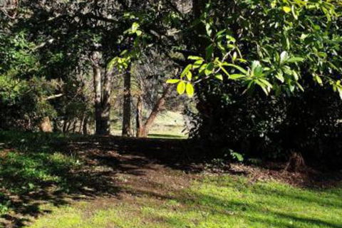 Redruth 2 Bedroom Cottage Situated In Wandiligong - Northern Rivers Accommodation 4