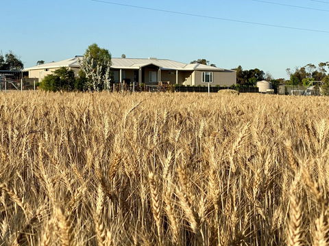 The Mains Guest House - Northern Rivers Accommodation 0