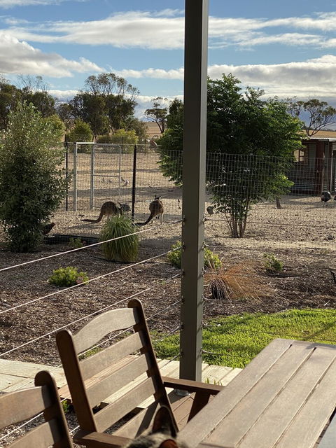 The Mains Guest House - Northern Rivers Accommodation 3
