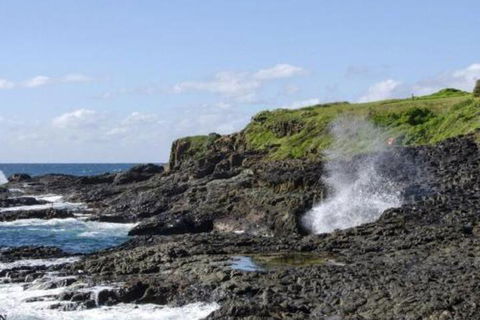 Seaview On Boanyo Ocean Views & Close To Beach - Northern Rivers Accommodation 5