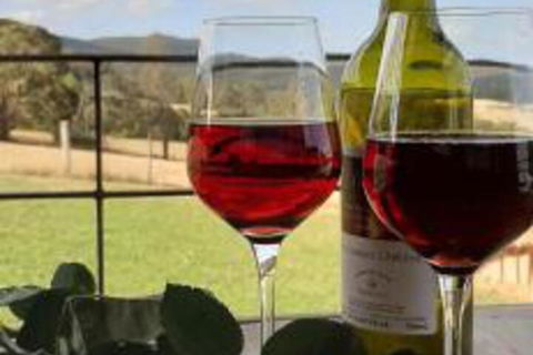 Fellcroft Farmstay - Northern Rivers Accommodation 2