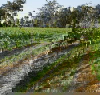 Renovated Cottage Aberdare Hunter Valley - Northern Rivers Accommodation