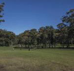 Championship Golf Course on your Back Door - Northern Rivers Accommodation