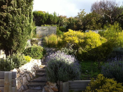 Blue Wren Beach House - Northern Rivers Accommodation 3