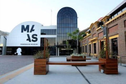 NEW Cozy Comfy APT Near Sydney Airport & CBD - Northern Rivers Accommodation 6