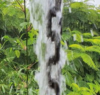 Driftwood Villa - Northern Rivers Accommodation