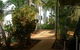 Ash Palms Motor Inn - thumb 3