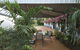 Ash Palms Motor Inn - thumb 6