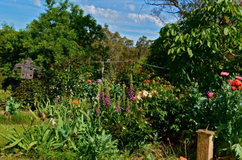 Clyde Cottage - Northern Rivers Accommodation 3