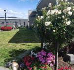 Velika - Northern Rivers Accommodation