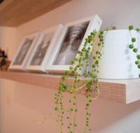 Trendy Modern 2BD Apartment Close to Beach  City - Northern Rivers Accommodation