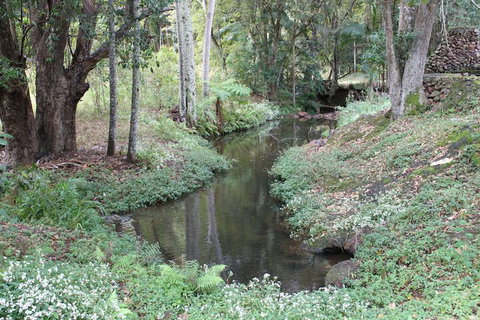 Stonehouse Farm Glamping - Northern Rivers Accommodation 2