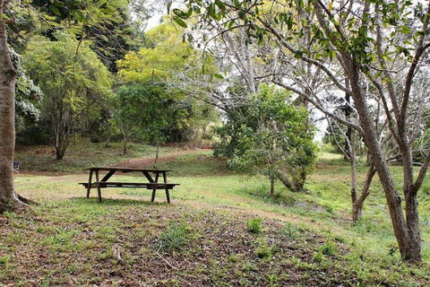 Stonehouse Farm Glamping - Northern Rivers Accommodation 1