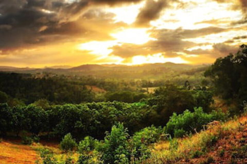 Stonehouse Farm Glamping - Northern Rivers Accommodation 0