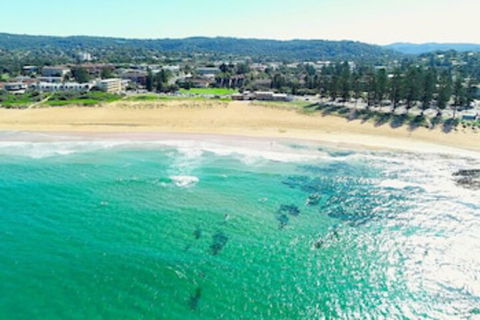 Reef Resort Apartments - Northern Rivers Accommodation 0