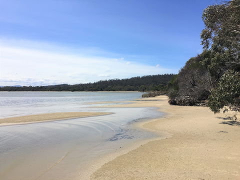 Oystercatcher - Northern Rivers Accommodation 6
