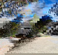 Oystercatcher - Northern Rivers Accommodation