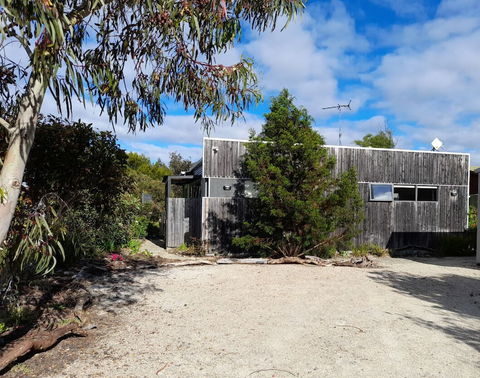 Oystercatcher - Northern Rivers Accommodation 0