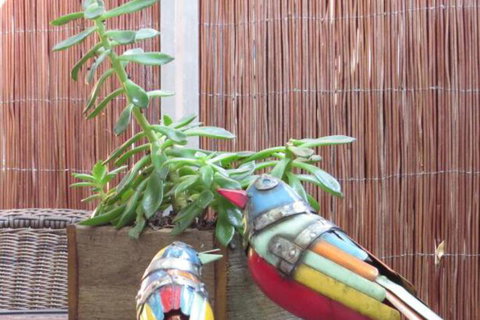 Twenty On Lake - Northern Rivers Accommodation 3