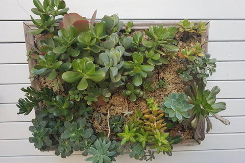 Twenty On Lake - Northern Rivers Accommodation 7