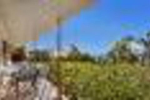 Ronald Avenue 57 - Northern Rivers Accommodation 4