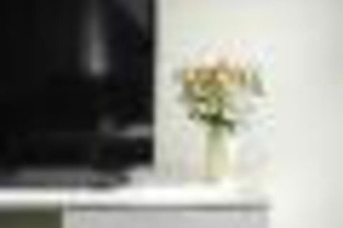 TWIG CBD Water Views - Northern Rivers Accommodation 6