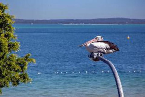 2 Bedroom Apartment Little Hut Unit 3 20 Kurrawa Close - Northern Rivers Accommodation 2