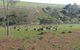 The Cottage At Riverside Farm - thumb 6