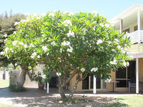 Kalbarri Riverfront Unit - Northern Rivers Accommodation 3