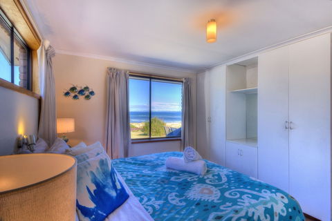 Sandgroper - Northern Rivers Accommodation 3