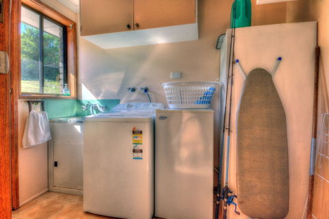 Sandgroper - Northern Rivers Accommodation 5