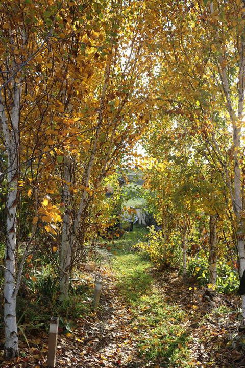 Magenta Cottage - Northern Rivers Accommodation 1