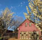 Magenta Cottage - Northern Rivers Accommodation