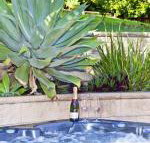 Fingal Escape - Northern Rivers Accommodation