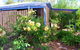 Rose Cottage - thumb 6