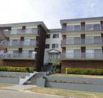 4 Adriana 83 Ronald Avenue open plan living with backyard - Northern Rivers Accommodation