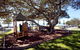 Roderick Street 52 Moffat Beach - thumb 2