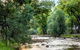 Fiume On Delightful Delany - thumb 5