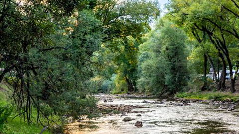 Fiume On Delightful Delany - Northern Rivers Accommodation 5