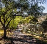 Capers Guesthouse Barn  Cottage - Northern Rivers Accommodation