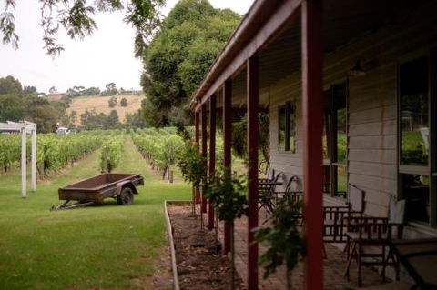 Fergusson Winery Homestead Accomodation - Northern Rivers Accommodation 2
