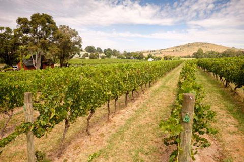 Fergusson Winery Homestead Accomodation - Northern Rivers Accommodation 3