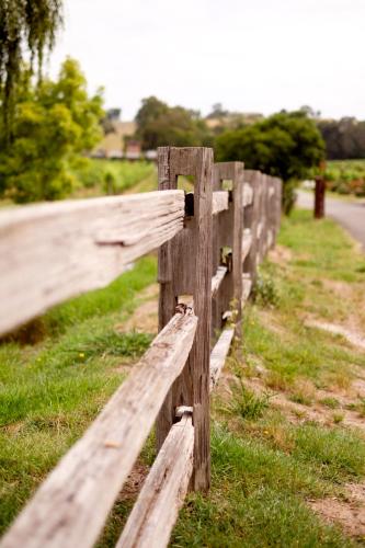 Fergusson Winery Homestead Accomodation - Northern Rivers Accommodation 6