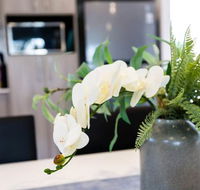 Wagga Apartments 5 - Northern Rivers Accommodation
