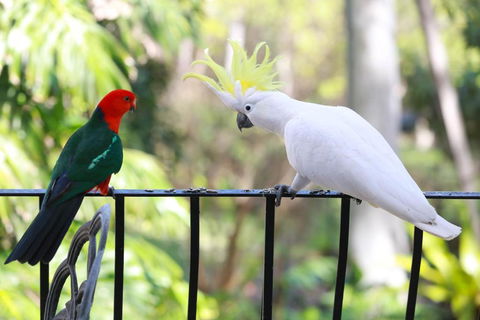 Palm Beach Bed & Breakfast - Northern Rivers Accommodation 4