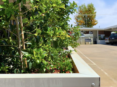 Baths Motel - Northern Rivers Accommodation 0