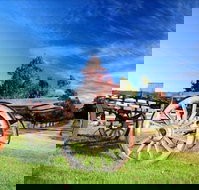 Oaks Ranch and Country Club - Northern Rivers Accommodation