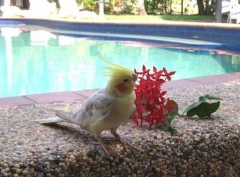 Hidden Valley Holiday Park - Northern Rivers Accommodation 3